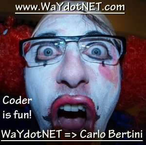 Carlo Bertini (WaYdotNET) - logo